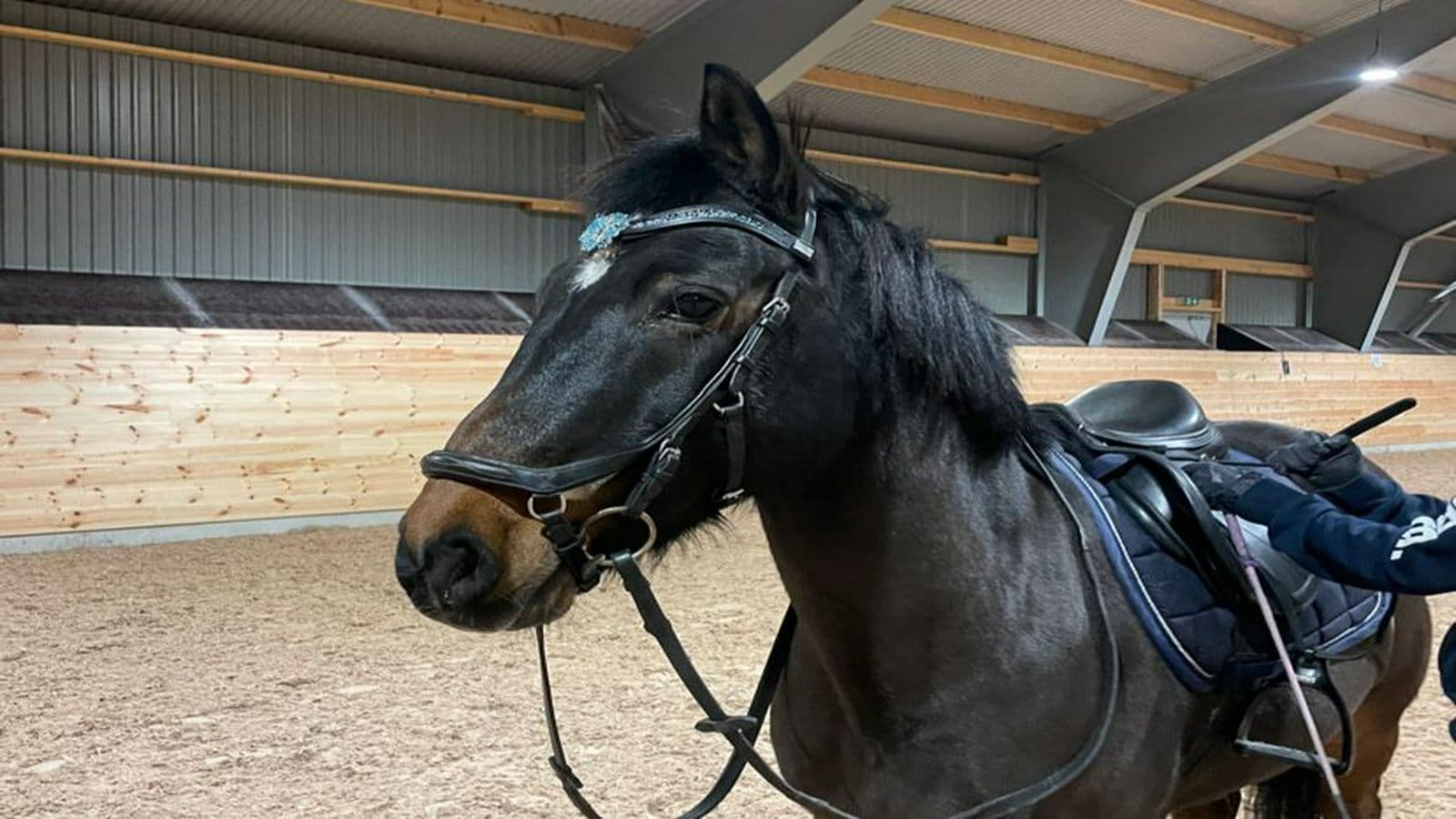 Långasjö ställplats + Ponnyridning - Image 4