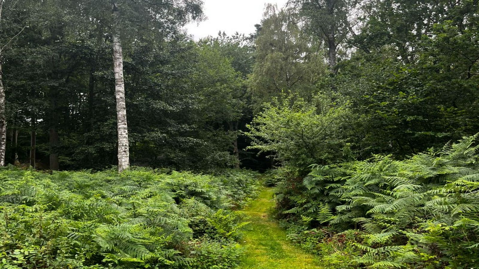 Kullaviksvägen ställplats - Image 4